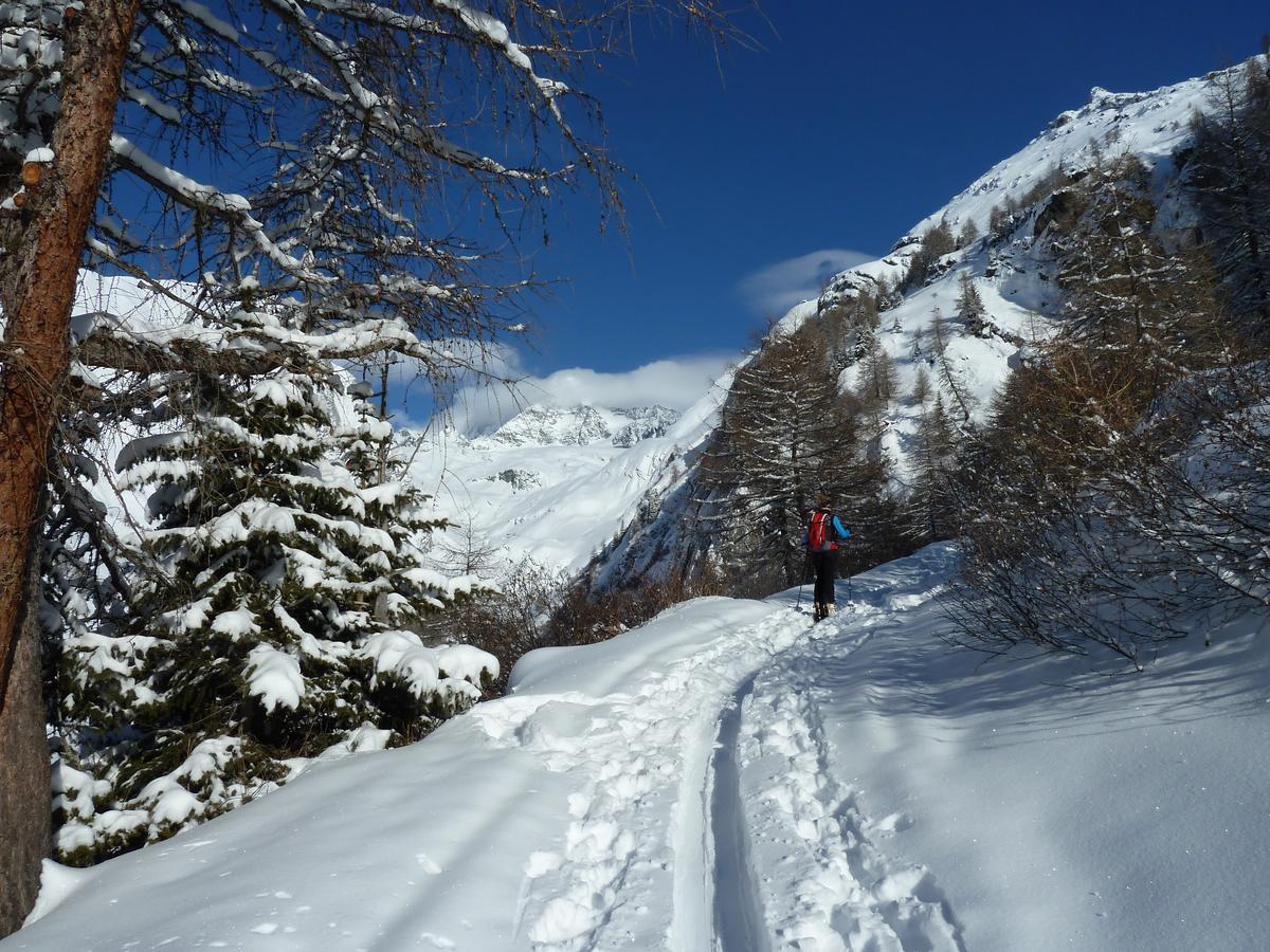 Alpengasthof Lucknerhaus Hotel คัลส์ อัม โกรสส์กล็อคเนอร์ ภายนอก รูปภาพ