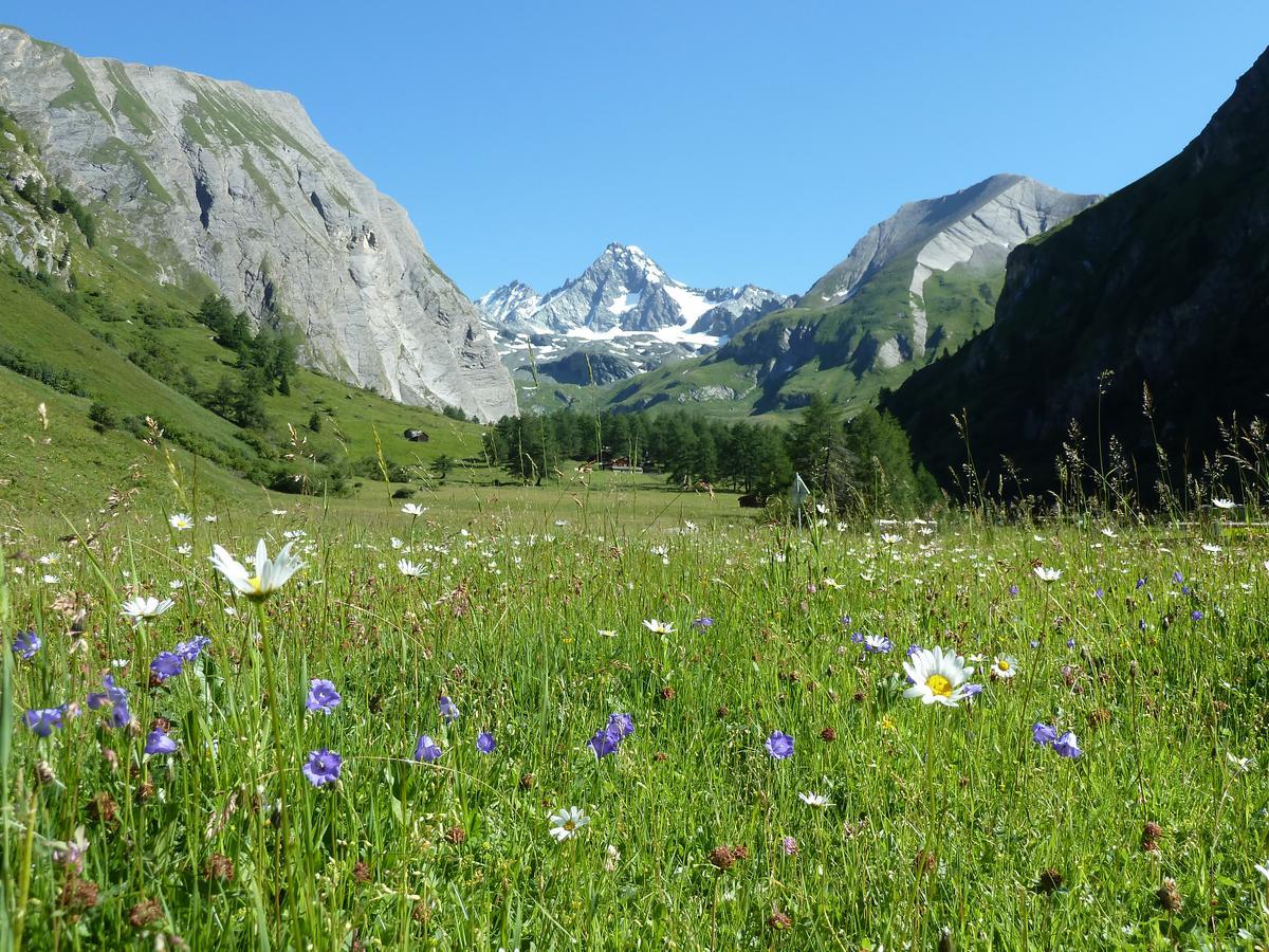 Alpengasthof Lucknerhaus Hotel คัลส์ อัม โกรสส์กล็อคเนอร์ ภายนอก รูปภาพ